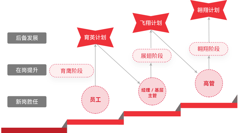 问鼎娱乐app "雄鹰打算"人才梯队造就
